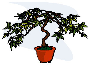 animasi-bergerak-pohon-bonsai-0017