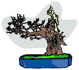 animasi-bergerak-pohon-bonsai-0023