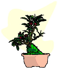animasi-bergerak-pohon-bonsai-0043