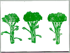 animasi-bergerak-brokoli-0017