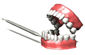 animasi-bergerak-dokter-gigi-0048