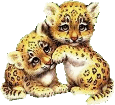 Macan: Gif Gambar Animasi & Animasi Bergerak - 100% GRATIS!