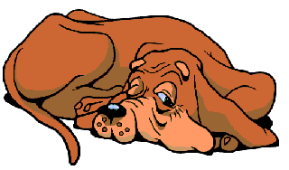 animasi-bergerak-anjing-bloodhound-0001