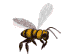 animasi-bergerak-lebah-0066