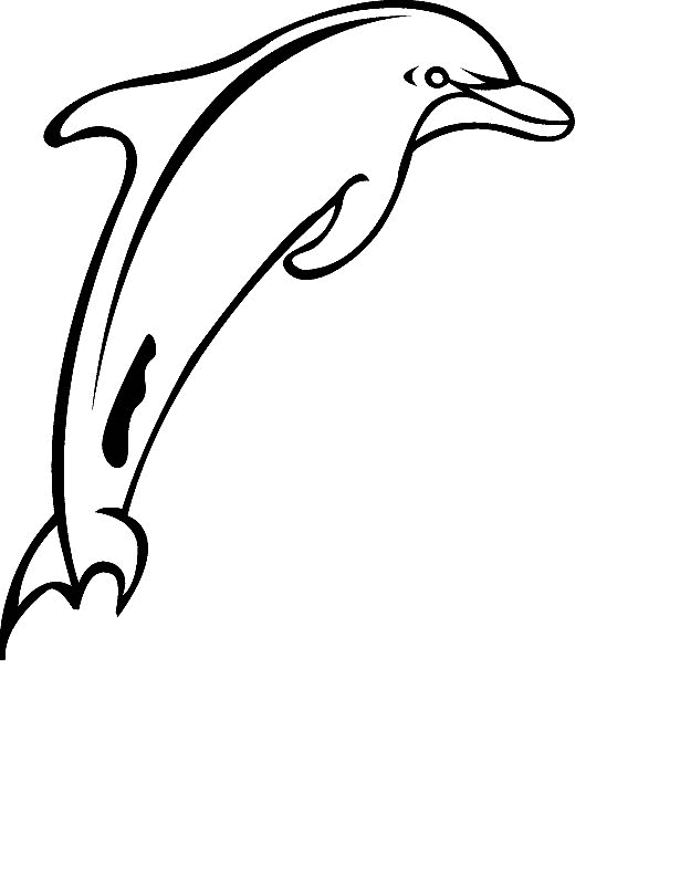 animasi-bergerak-mewarnai-lumba-lumba-0008