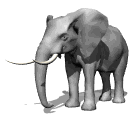 animasi-bergerak-gajah-0350
