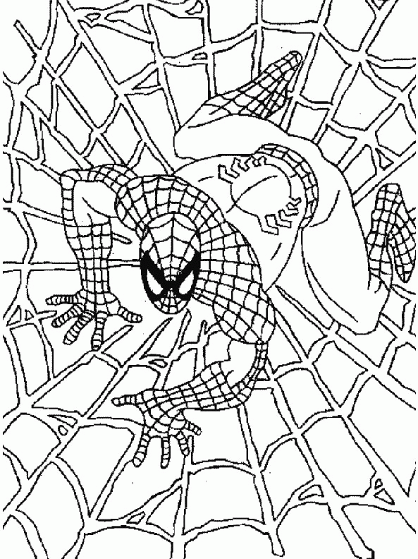 animasi-bergerak-mewarnai-spider-man-0001