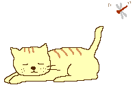 animasi-bergerak-kucing-0411