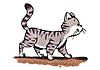 animasi-bergerak-kucing-0485