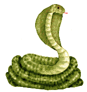 animasi-bergerak-ular-0032