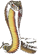 animasi-bergerak-ular-0140