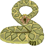 animasi-bergerak-ular-0142