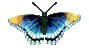animasi-bergerak-kupu-kupu-0131