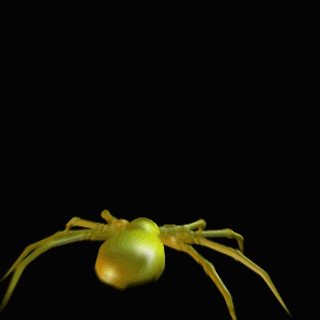 animasi-bergerak-laba-laba-0037
