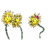 animasi-bergerak-bunga-kembang-0220