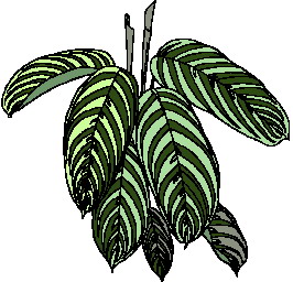 animasi-bergerak-dedaunan-0004