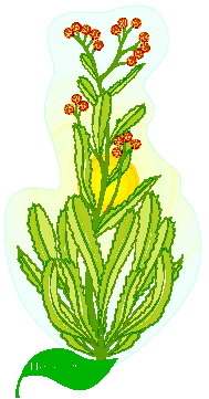 animasi-bergerak-dedaunan-0188