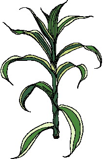 animasi-bergerak-dedaunan-0200