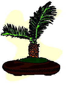 animasi-bergerak-pohon-bonsai-0007
