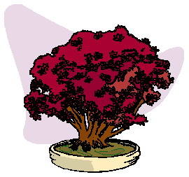 animasi-bergerak-pohon-bonsai-0044