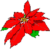 animasi-bergerak-bunga-natal-0001