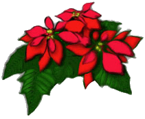 animasi-bergerak-bunga-natal-0002