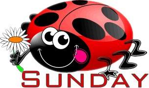 animasi-bergerak-hari-0048