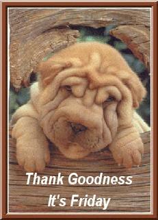 animasi-bergerak-hari-0121