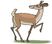 animasi-bergerak-rusa-0067