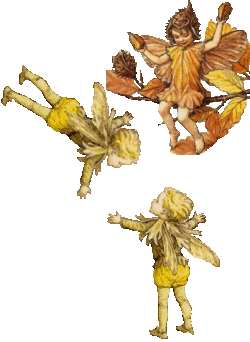 animasi-bergerak-elf-0407