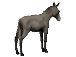 animasi-bergerak-pertanian-0050