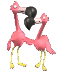 animasi-bergerak-flamingo-0008