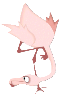 animasi-bergerak-flamingo-0011