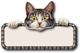 animasi-bergerak-plat-nama-0124