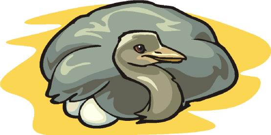 96 Gambar Burung Kartun Gif Terbaru