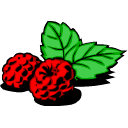 animasi-bergerak-raspberry-0003