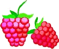 animasi-bergerak-raspberry-0007