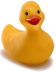 animasi-bergerak-bebek-karet-0025