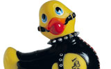 animasi-bergerak-bebek-karet-0093
