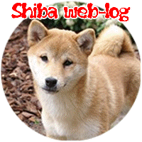 animasi-bergerak-anjing-shiba-0014