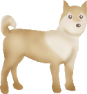 animasi-bergerak-anjing-shiba-0038