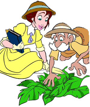 animasi-bergerak-tarzan-0034