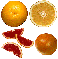 animasi-bergerak-grapefruit-0004