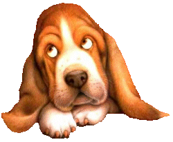 animasi-bergerak-anjing-basset-hound-0029
