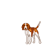 animasi-bergerak-anjing-beagle-0006
