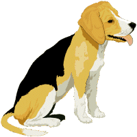 animasi-bergerak-anjing-beagle-0024
