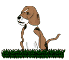 animasi-bergerak-anjing-beagle-0026