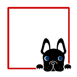 animasi-bergerak-anjing-boston-terriers-0015