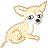 animasi-bergerak-chihuahua-0003