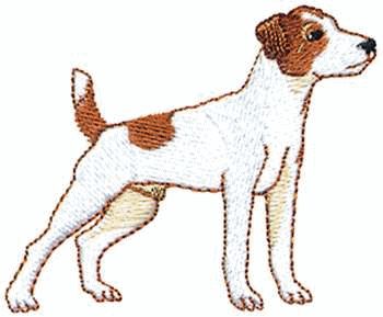 animasi-bergerak-anjing-terrier-jack-russell-0002